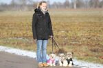 Drei Biewer Yorkshire Terrier aus Frankfurt in unserer Hundeschule