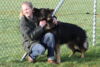 Hundetreff-Schaeferhunde-25-01-12-27