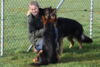 Hundetreff-Schaeferhunde-25-01-12-26