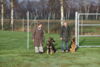 Hundetreff-Schaeferhunde-25-01-12-08