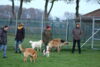hundetreff-kiekutsee-bilder-26-11-14-74