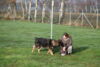 Hundetreff-Schaeferhunde-25-01-12-15
