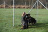 Hundetreff-Schaeferhunde-25-01-12-23