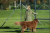 hundetreff-bilder-11-10-15-2