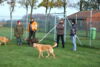 hundetreff-kiekutsee-bilder-26-11-14-26