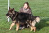 Hundetreff-Schaeferhunde-25-01-12-19